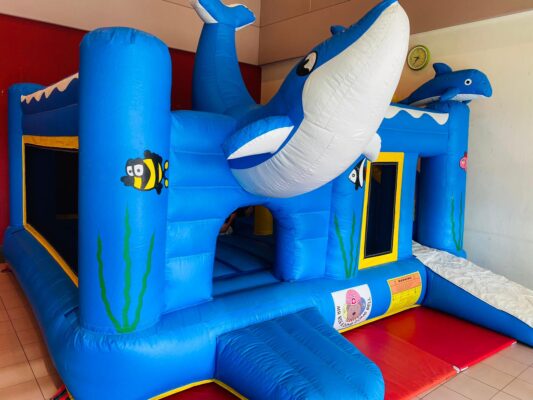 Blue Bouncy castle with whale and dolphin design